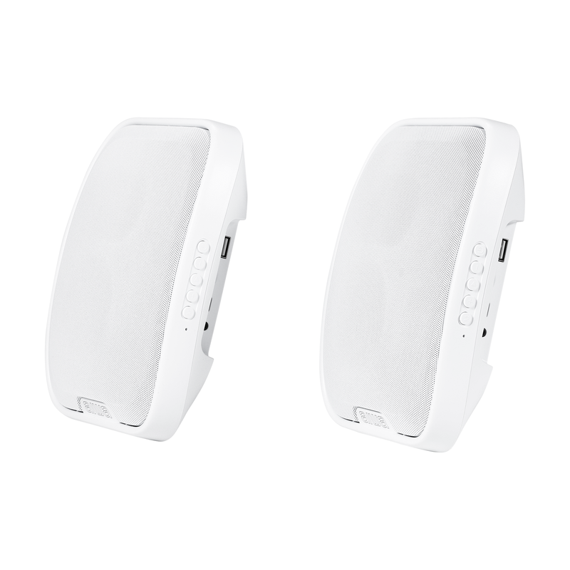 Wall Speaker 2pk