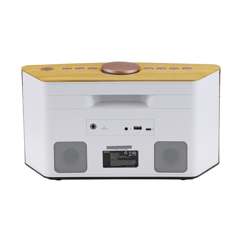 Exos-5 Wireless Home Speaker